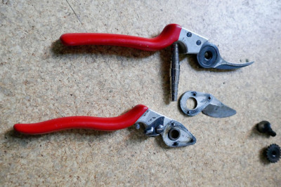 FElco2.jpg