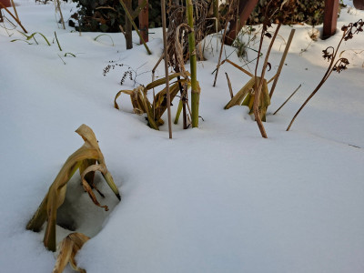 20260204_151124.jpg