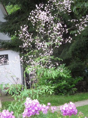 IMG_5772.jpeg
