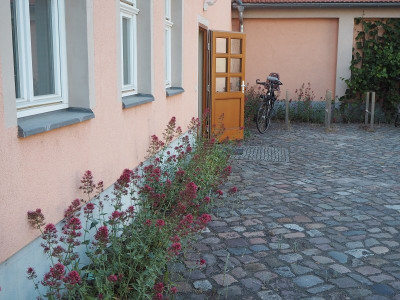 Schlosshof 12.6.23 ue.JPG