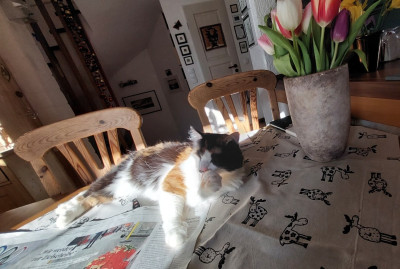 20260207_141058.jpg