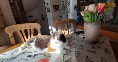 20260207_140831.jpg