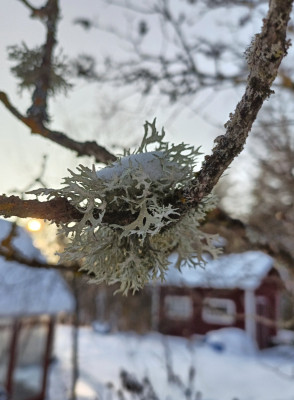 IMG_20260207_160816.jpg