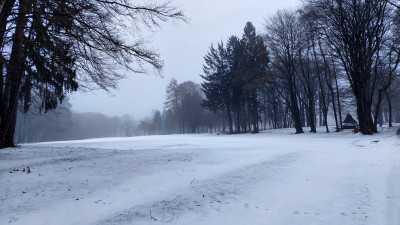 20260207_154800.jpg