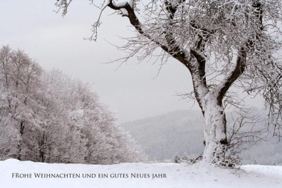 Weihnachtskarte-pur.jpg