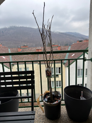 IMG_1544.jpeg