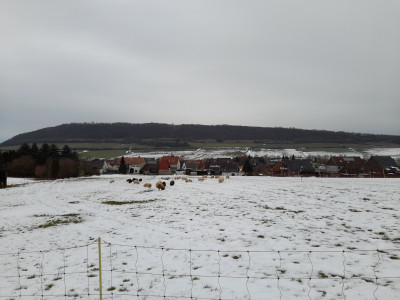 20260210_162732.jpg