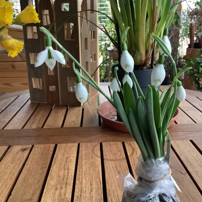 IMG_0730.jpeg