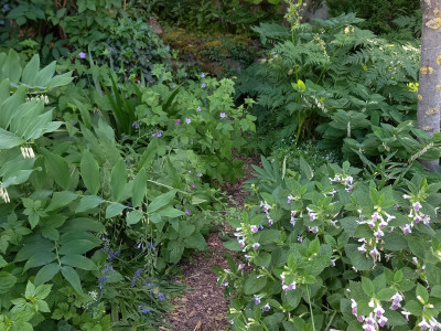 20250519_182509.jpg