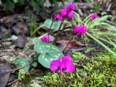 IMG_3059.jpeg