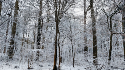 20260214_095119.jpg