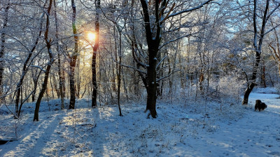 20260214_153249.jpg