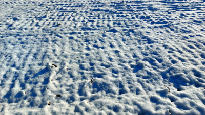 20260214_153909.jpg
