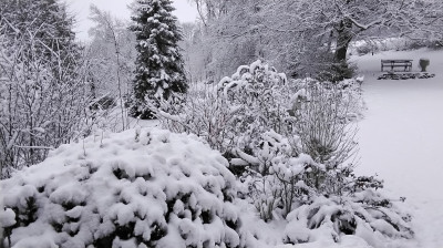 20260215_101609.jpg