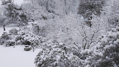 20260215_101528.jpg