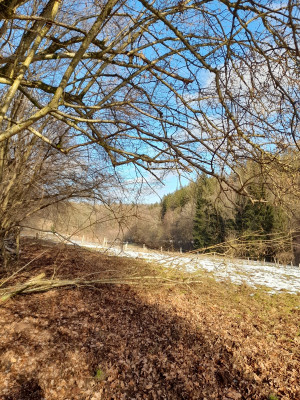 20260215_114852.jpg