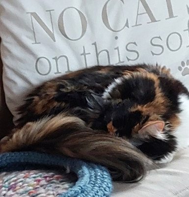 20260215_154620.jpg