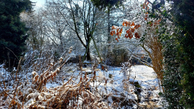 20260215_123838.jpg