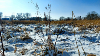 20260215_125651.jpg