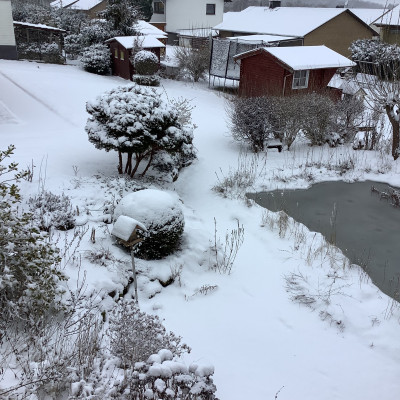 IMG_0733.jpeg