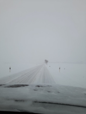 20260216_085134.jpg