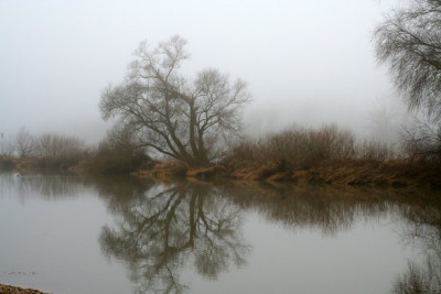 DonauAuwald-Original.jpg