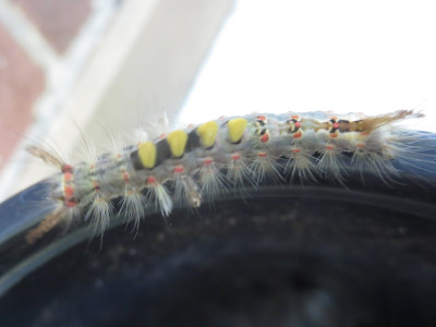 IMG_7982.jpeg
