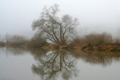 DonauAuwald-beschnitten.jpg