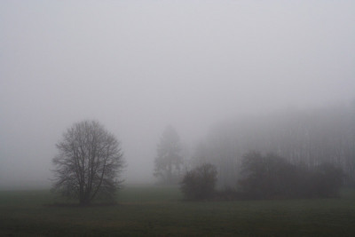 Donau-Landschaft-1.jpg
