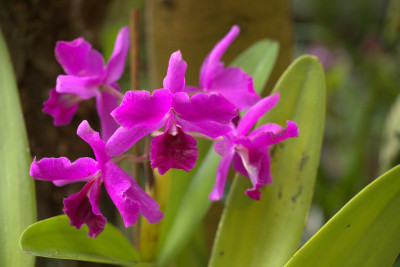 3Q7A0455.jpg