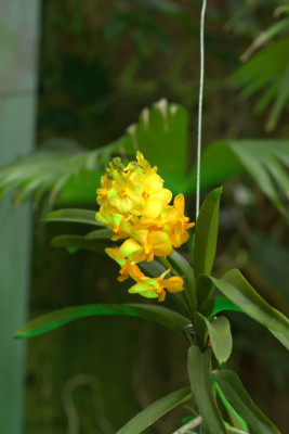 3Q7A0596.jpg