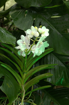 3Q7A0598.jpg