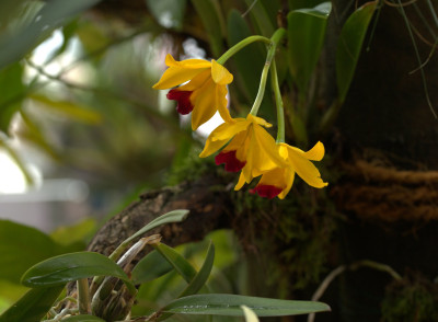 3Q7A0603.jpg