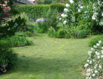 06 Wiese gemäht_0244.JPG