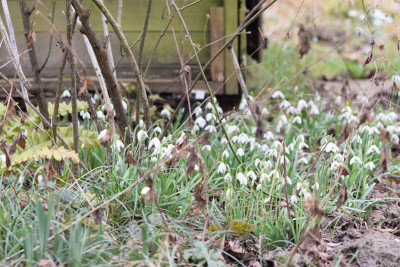 DSC_0553.JPG