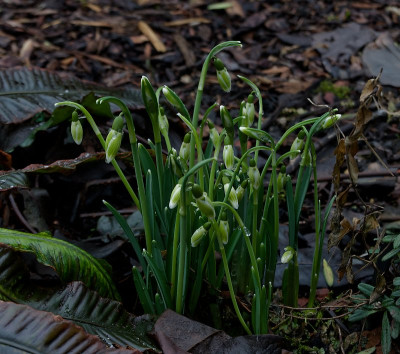 DSC02415_DxO.jpg
