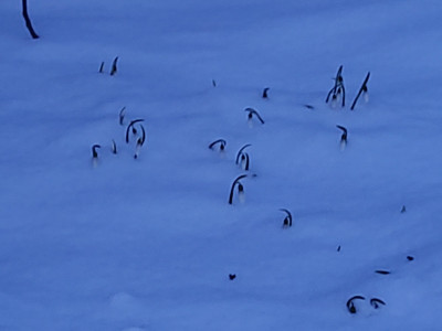 20260218_174341.jpg