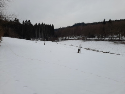 20260219_160539.jpg