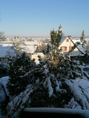IMG_20260220_084257.jpg