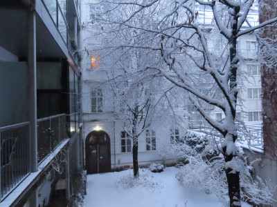 hofschnee.JPG