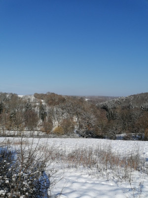 IMG_20260220_104449.jpg