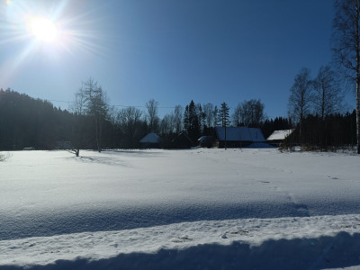 IMG20260220121525.jpg