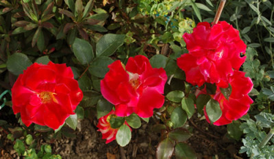 Sieben_Farben_0012__T2_24615.jpg
