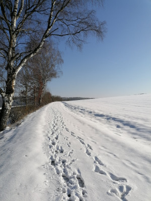 IMG_20260220_101959.jpg