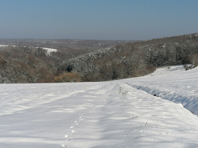 IMG_20260220_102821.jpg