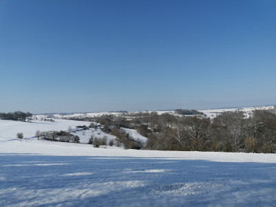 IMG_20260220_103638.jpg