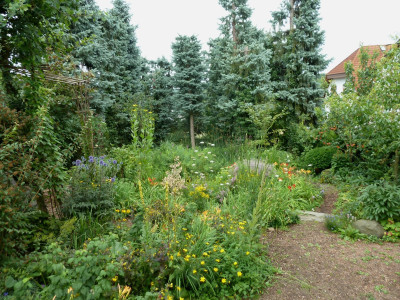 P1010435.JPG