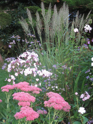 IMG_5995.jpeg