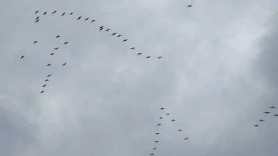 20260221_171014.jpg