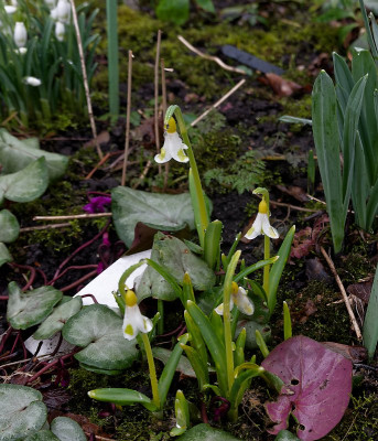 DSC02417_DxO.jpg